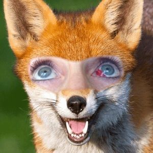 Meet your Posher, Kaye